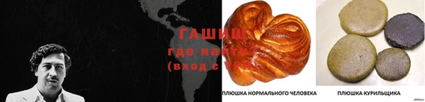 соль ск Богданович