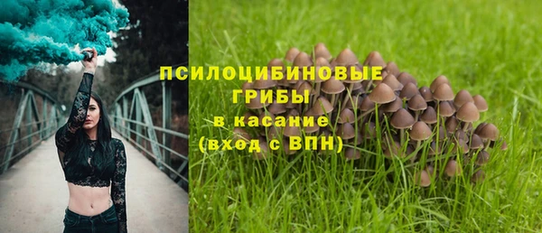 бошки Балахна