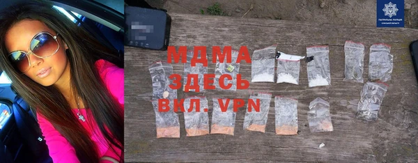 spice Богородицк