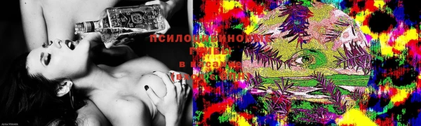 бошки Балахна