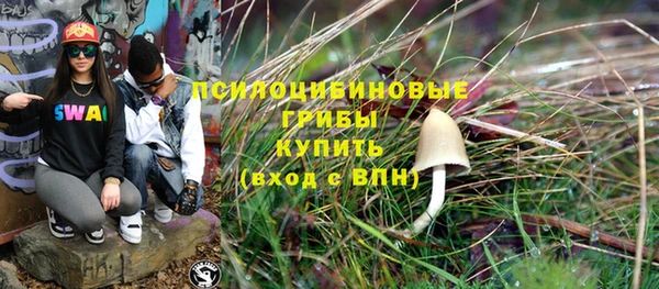 прущий лед Белокуриха