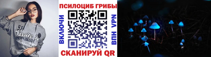 kraken tor  Болотное  Псилоцибиновые грибы Psilocybine cubensis 